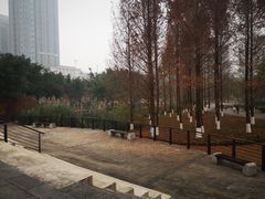 -沐仙湖湿地公园