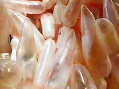 -章记正宗南岗鱼蛋火锅