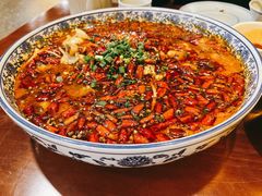 -苏渝汇重庆江湖菜(桐泾公园店)
