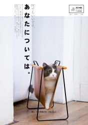 -ZOO KIDS象集摄影工作室(西城公馆店)