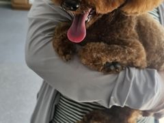 -心仪动物医院·牙专科·肿瘤·心脏科(西客站院)