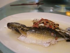 -壹零贰小馆(桂城石啃店)