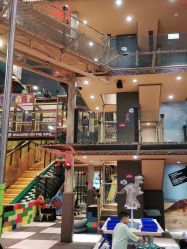 -卡通尼·Safari非洲探索乐园·生日会(金桥国际商业广场店)