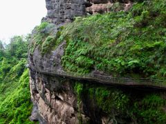 -江西龙虎山景区