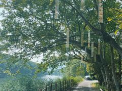 -西溪南古村落景区