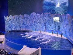 -珠海长隆海洋王国