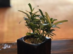 -上海滴水湖皇冠假日酒店