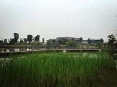 -东南花都花博园