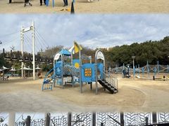 -长广溪湿地公园