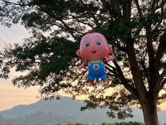 -风云岭森林公园