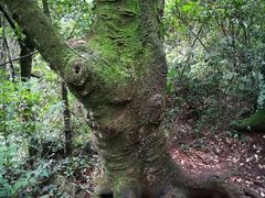 -普者黑风景区-青龙山