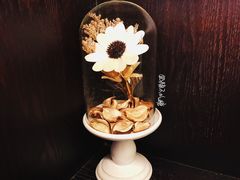 -思南书局(复兴中路店)