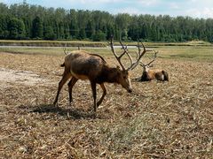 -溱湖国家湿地公园