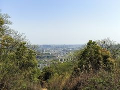 -桃花岭景区