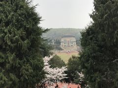 -武汉大学-樱园