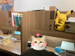 -屋顶时光机自习室(西大街店)
