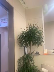 -上海时光整形外科医院