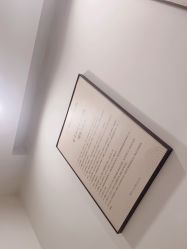 -BELLAREAL新美社