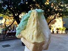 -柠檬车露(卖草地店)