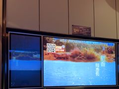 -星聚会KTV(复地活力城店)
