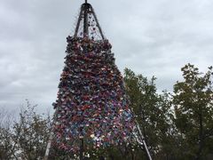 -帽儿山国家森林公园