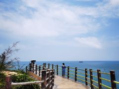 -广东惠东海龟国家级自然保护区
