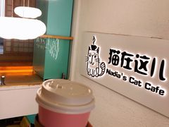 -猫在这儿猫咪咖啡馆·撸猫馆