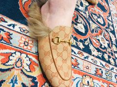 -Gucci(北京金融街购物中心店)