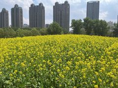 -长白岛森林公园