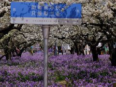 -江苏三台山国家森林公园
