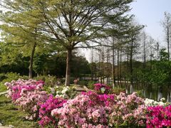 -东莞植物园