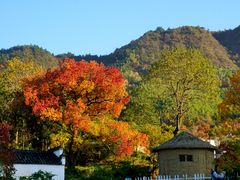 -塔川景区