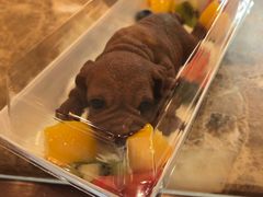 -新丰蛋糕(百花路总店)