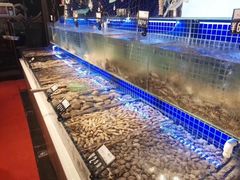 -必点海鲜·鲅鱼水饺(鞍山西道店)