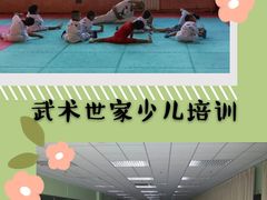 -武术世家少儿培训中心(首都体育学院店)