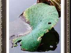 -郑东新区湿地公园
