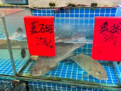 -洲晓鱻舟山海鲜(2号店)