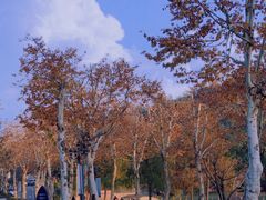 -海兰云天度假区温泉