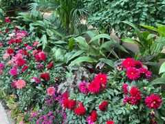 -石家庄市植物园