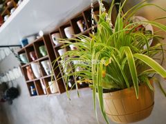 -SUN炸鸡专门店(西塔总店)