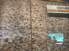 -湖南省地质博物馆