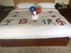 -逸廊大堂吧-下午茶·简餐-千岛湖自由洲际殿