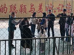 -东方熊牧场