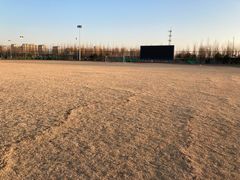 -瀛海足球主题公园