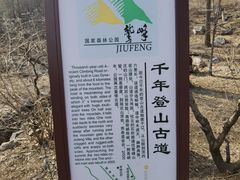 -北京鹫峰国家森林公园