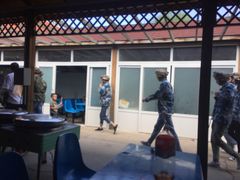 -亲兄弟真人CS团建拓展基地