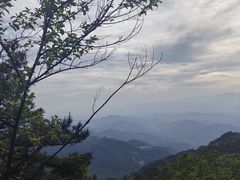 -大围山国家森林公园