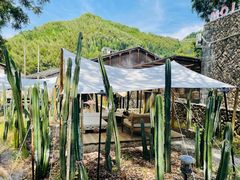 -MOJ coffee(瓯海泽雅水碓坑店)