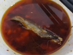 三角枫-金海椒罐罐鲢鱼(东方桂苑店)