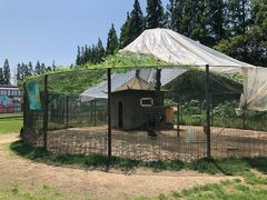 -前小桔亲子创意农场·草莓采摘·露营烧烤